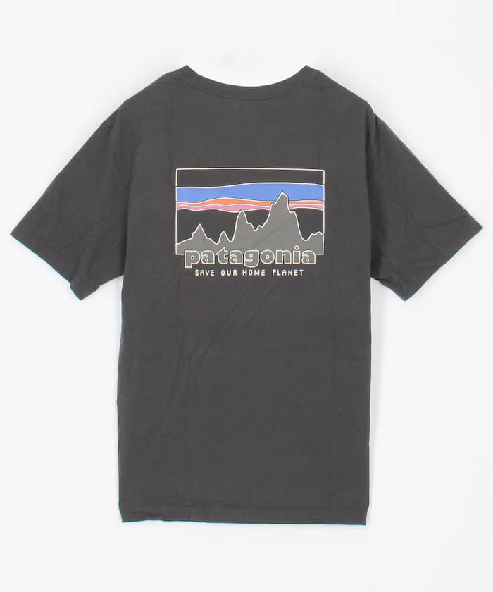 Patagonia '73 天線 有機棉圓領短袖T恤