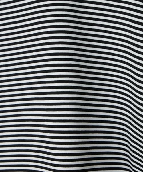 105509776b_b_56_500.jpg