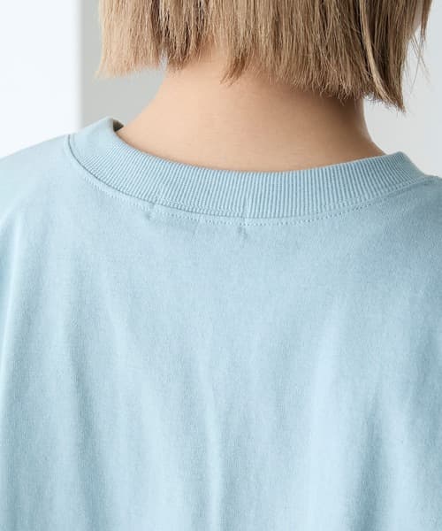 73020685b_b_97_500.jpg