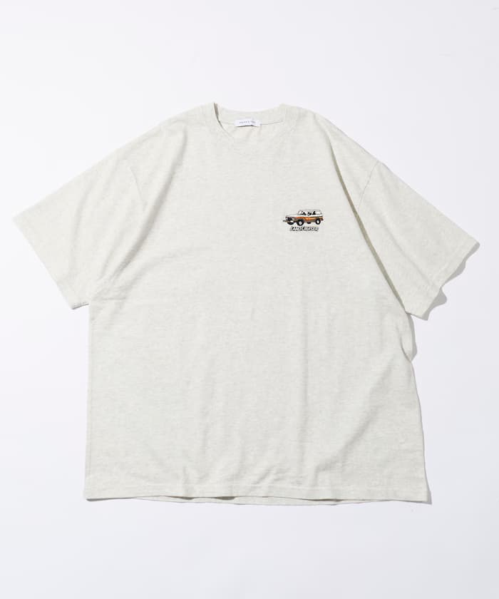 item69ae66a0a1818.jpg