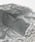 101727924b_b_47_35.jpg