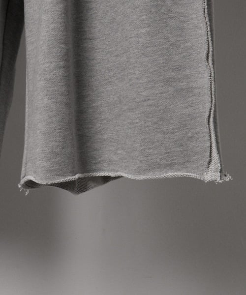 105042751b_b_43_500.jpg