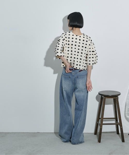 105426841b_b_24_500.jpg