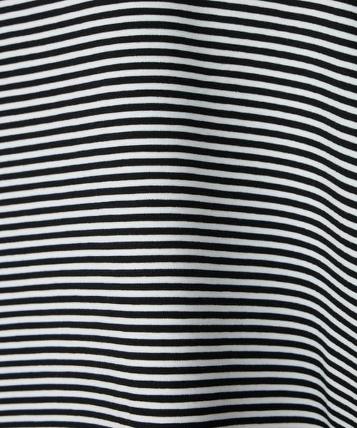 105509776b_b_56_500.jpg