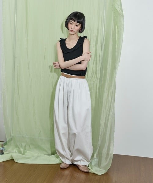 106081454b_b_45_500.jpg