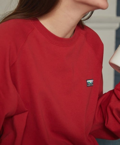 76815707b_b_295_500.jpg