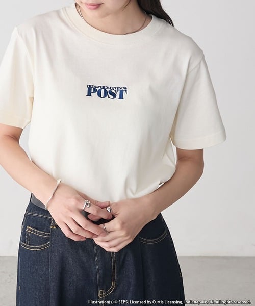 94787973b_b_22_500.jpg