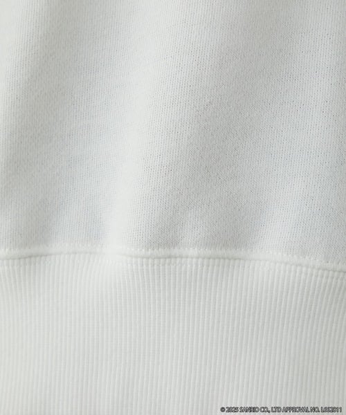 97062615b_b_86_500.jpg