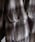 97703107b_b_06_35.jpg