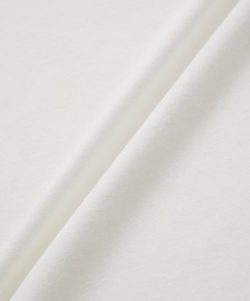 97799423b_b_72_500.jpg