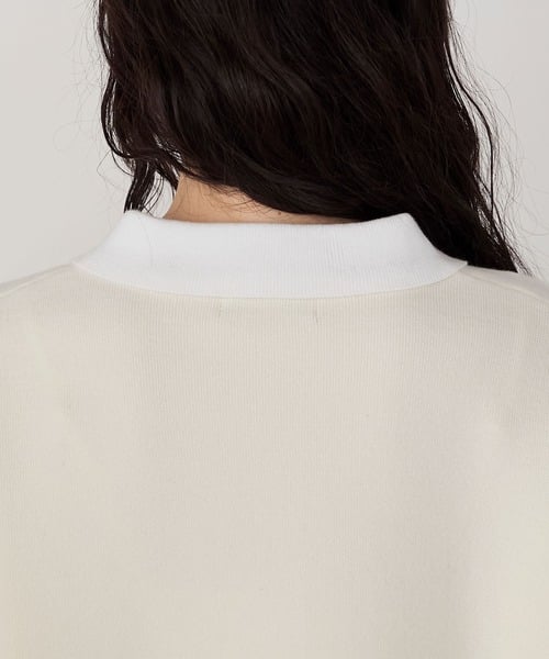 98712938b_b_22_500.jpg