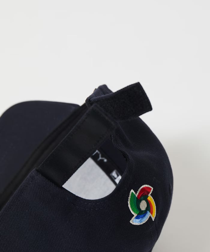 item6985acc680996.jpg