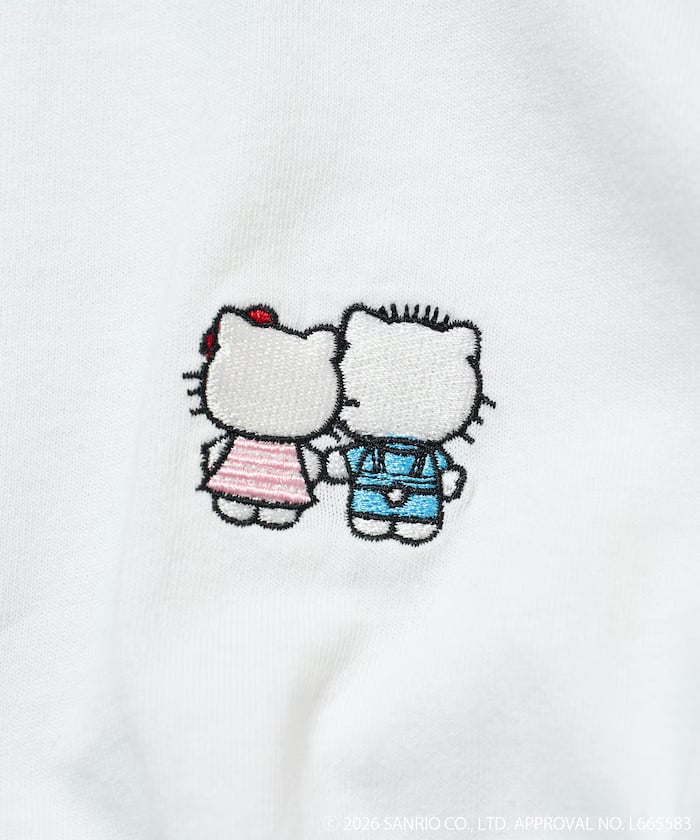 item69a909995e174.jpg