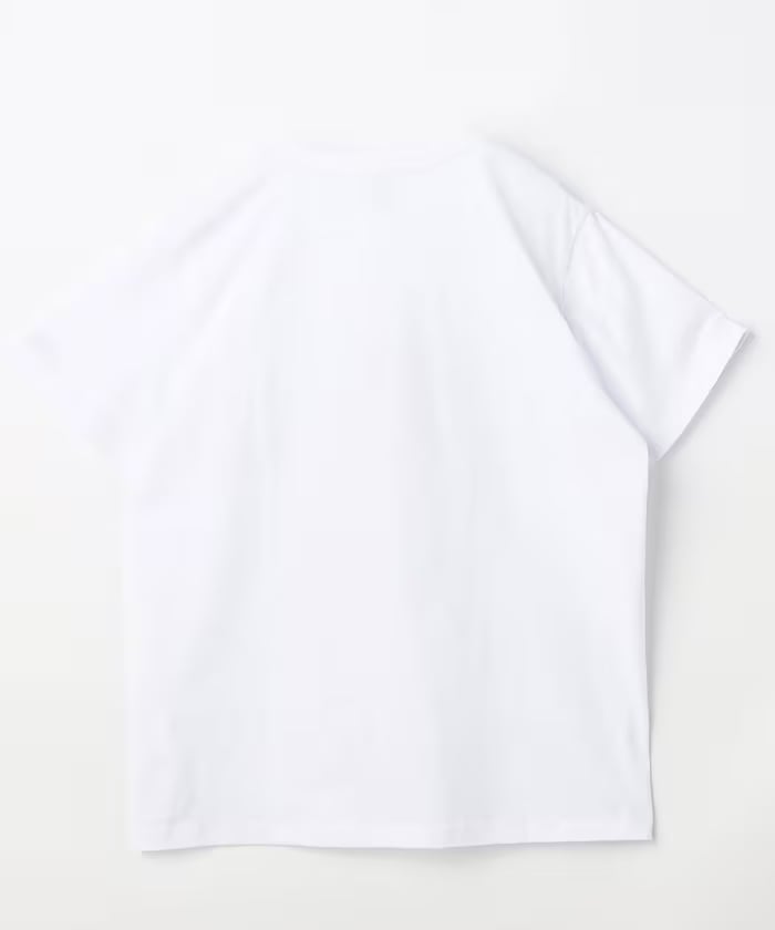 item69acd1f8e2dc5.jpg