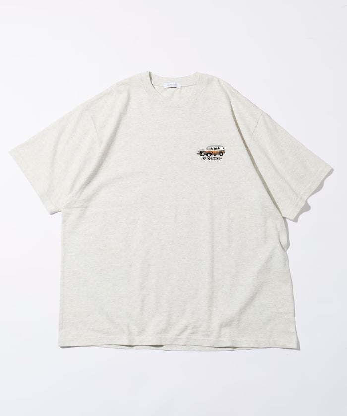 item69ae66a0a1818.jpg