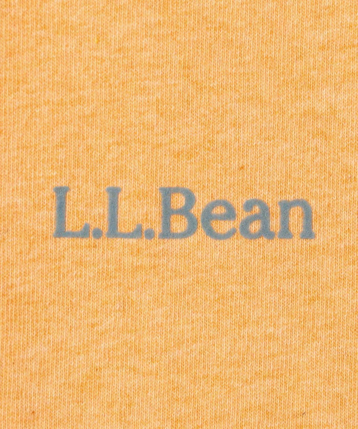 item69bf50b99f615.jpg