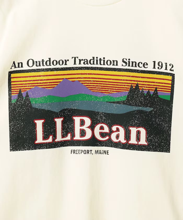 item69bf5174a3e65.jpg