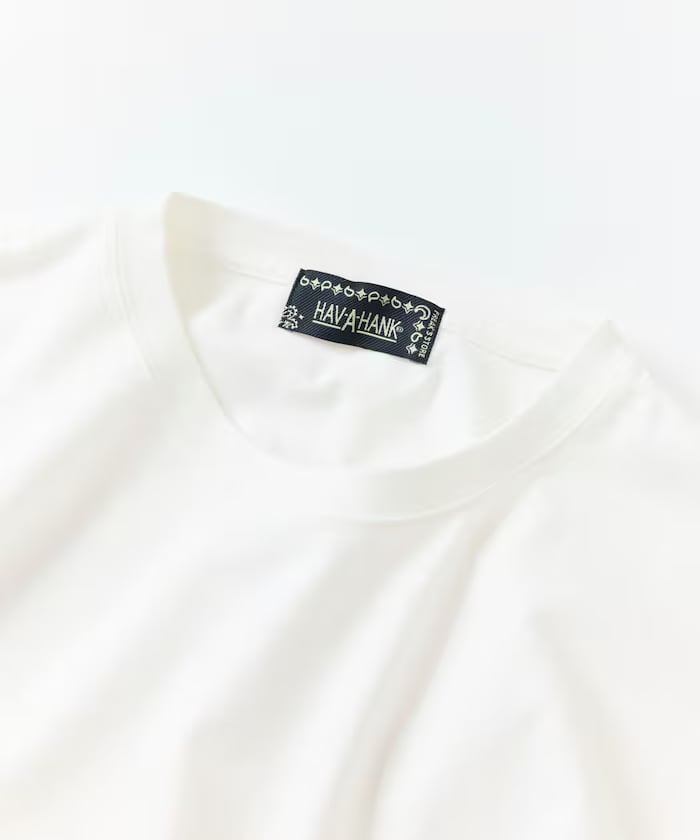 item69c3824ee29f2.jpg