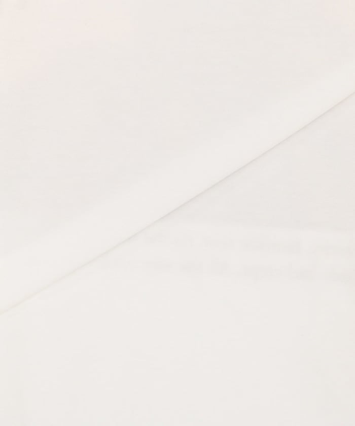 item69d4558cc1dbb.jpg