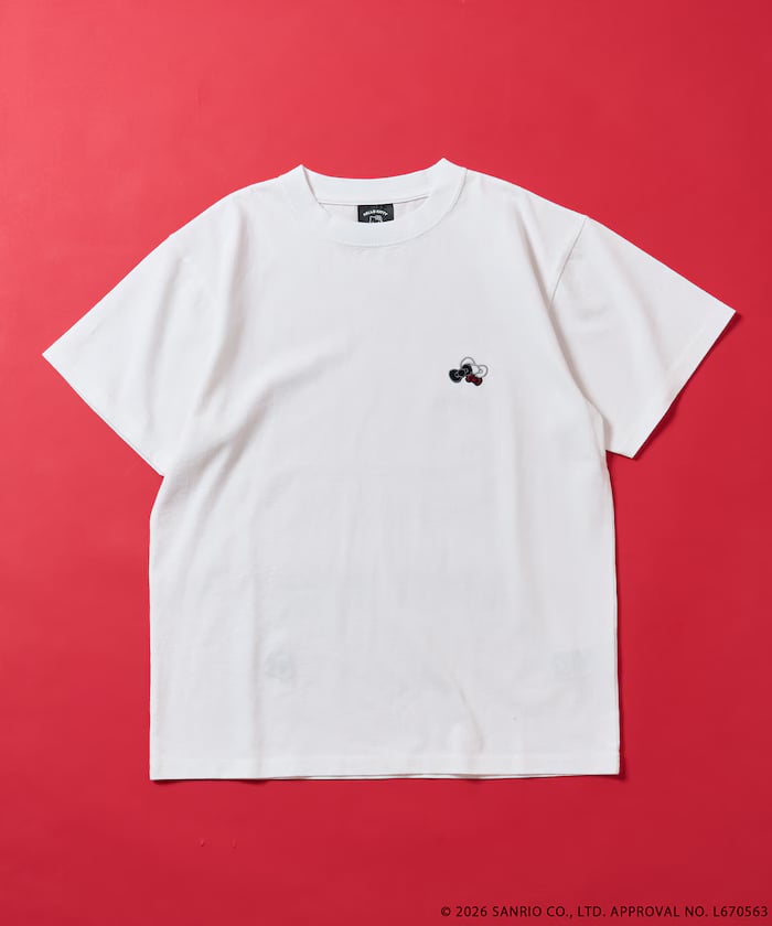 item69d4e5189c738.jpg