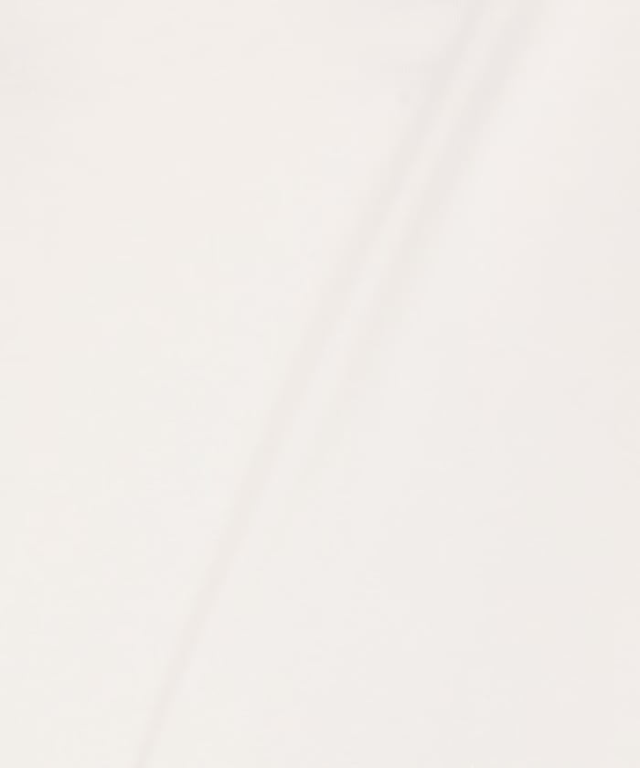 item69db5aad236ba.jpg