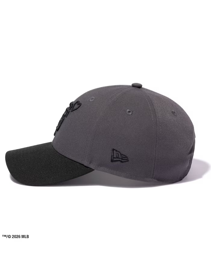 item69f454d3cbcbe.jpg