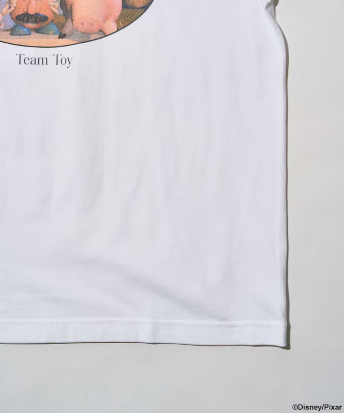 item67e66919a511c.jpg