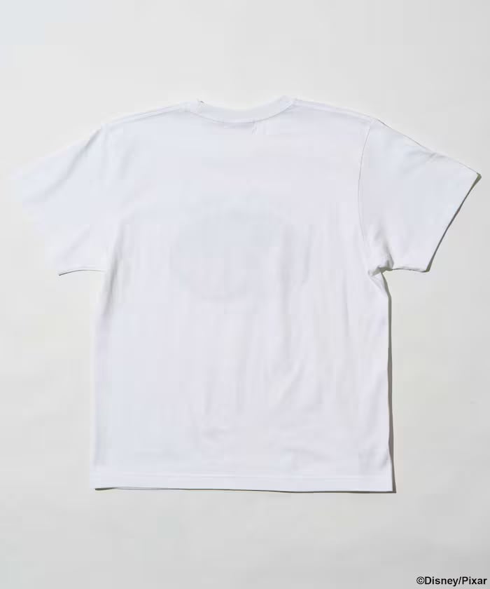 item67e6691a3ec78.jpg