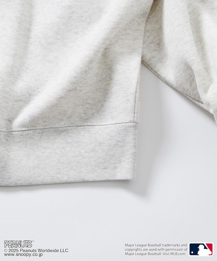 item68a3ddc8170d0.jpg