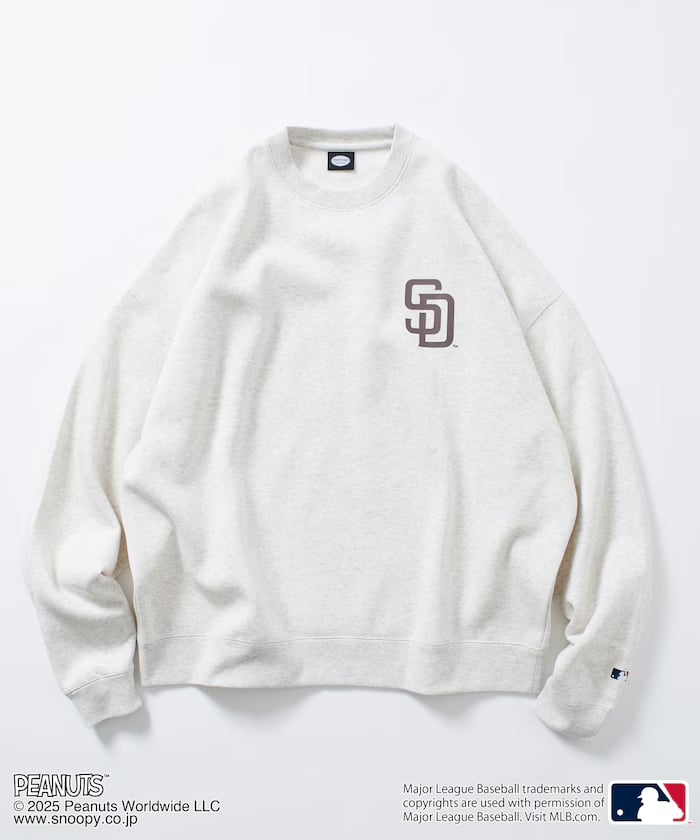 item68a3ddc993707.jpg