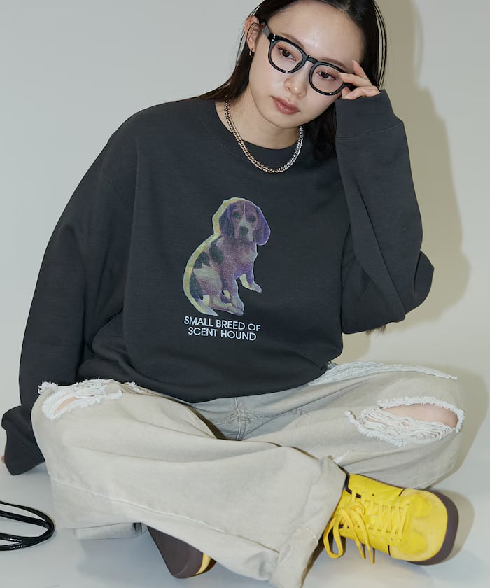item68edf855c74e1.jpg