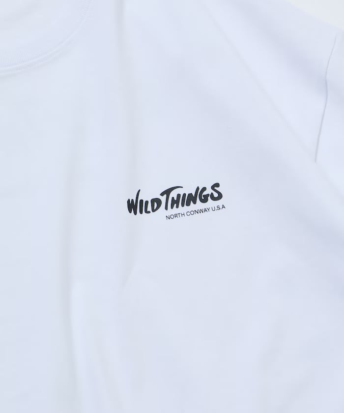 item696dc8c10617e.jpg