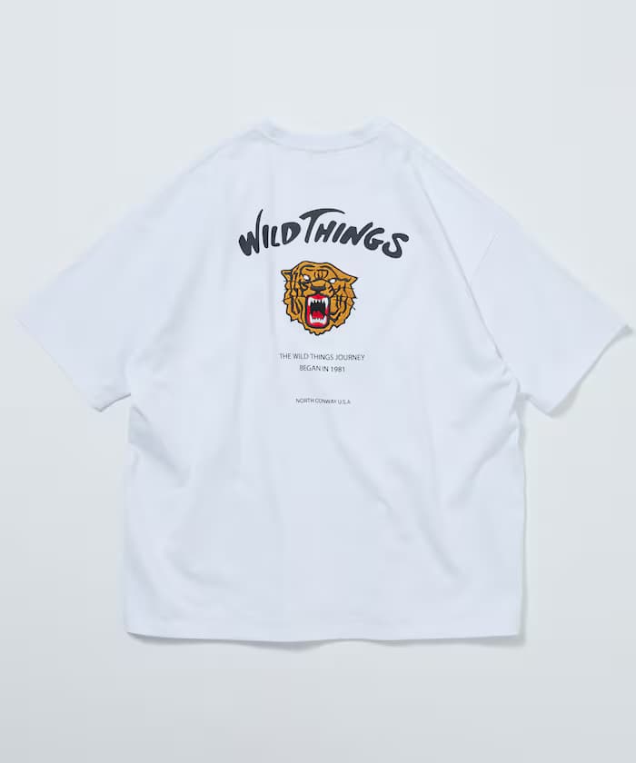 item69701c0de650d.jpg