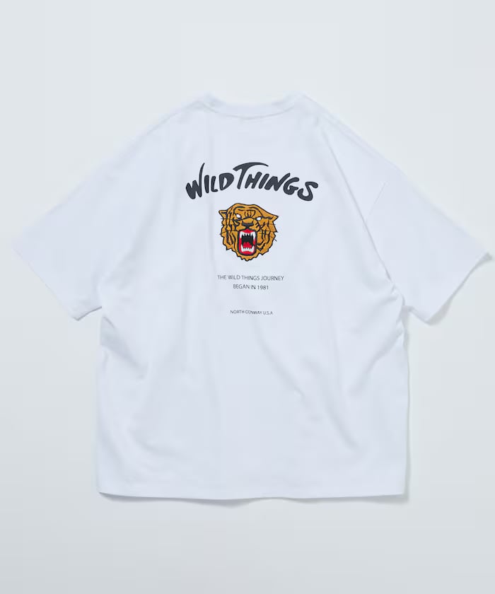 item69701c0de650d.jpg