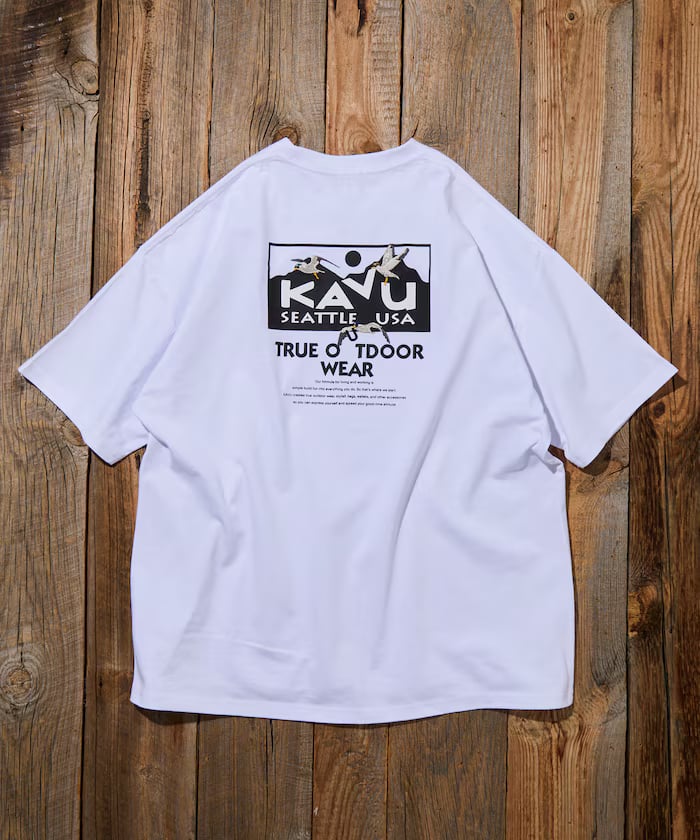 item697088e653019.jpg