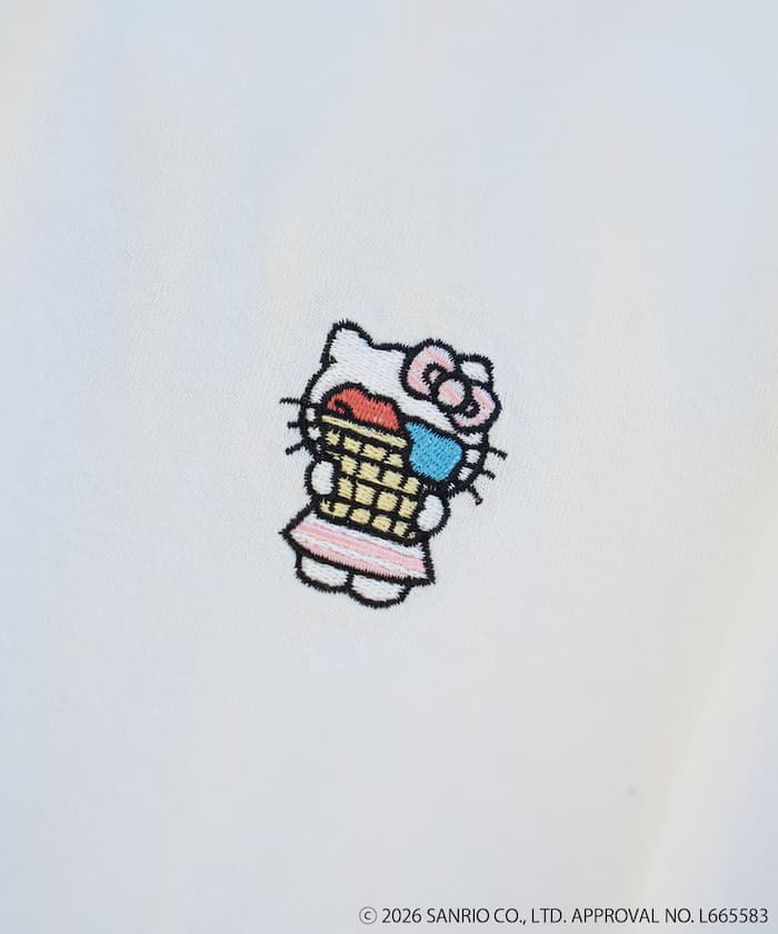 item69a9067e5390f.jpg
