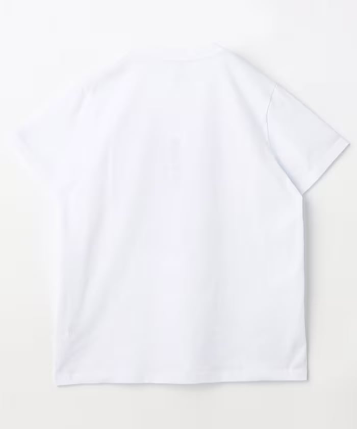 item69acd25de7011.jpg