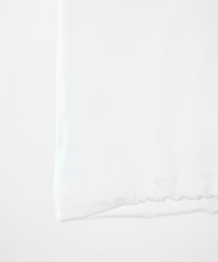 item69c37713a6891.jpg