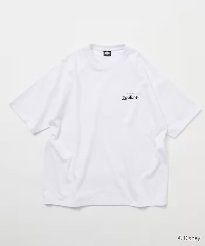 item69cf86085c4f1.jpg