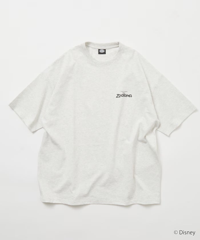 item69cf860bc7606.jpg