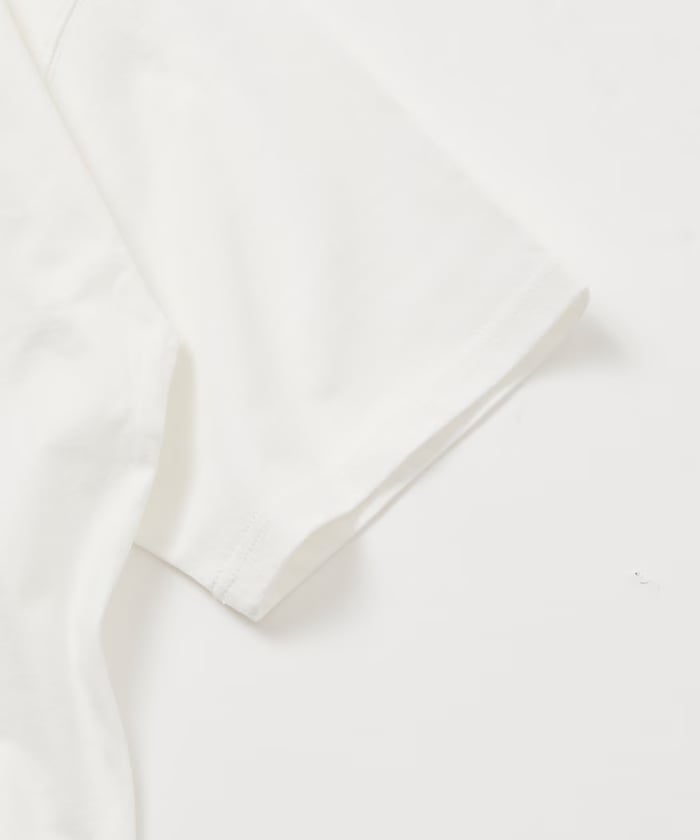 item69cf86bea8455.jpg