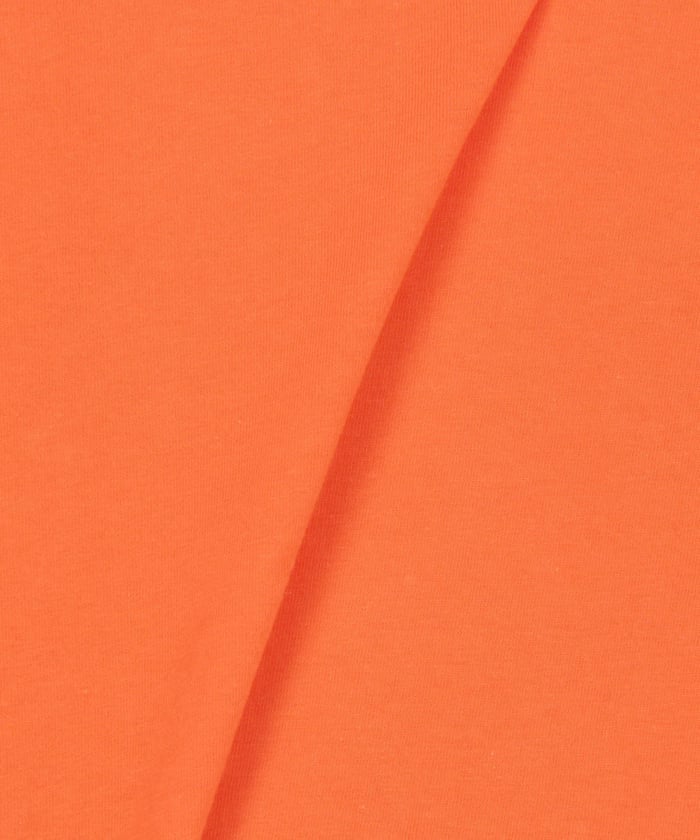 item69db528f44cda.jpg