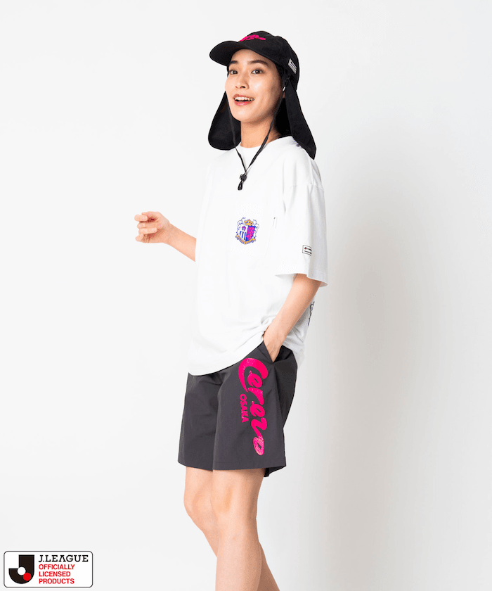 item6a03deb2bd97f.jpg